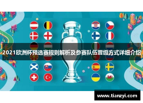 2021欧洲杯预选赛规则解析及参赛队伍晋级方式详细介绍